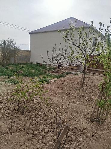 sibrizde evler: Sumqayıt, 126 kv. m, 4 otaqlı, Hovuzsuz, Kombi, Qaz, İşıq — 7
