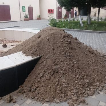 Уличные растения: Keyfiyyətli torpaq satılır. Bağınız və ya həyətiniz üçün münasibdir