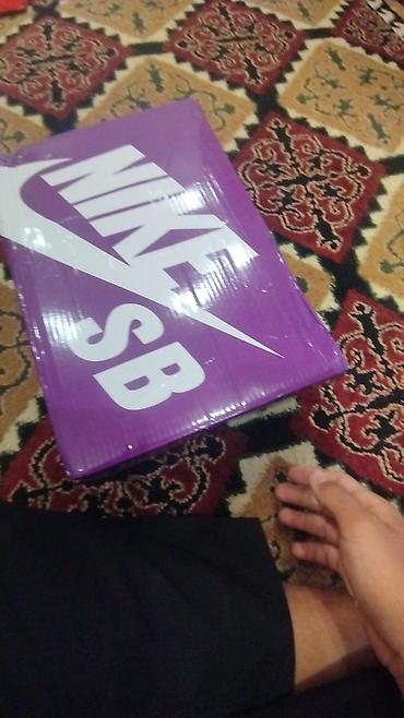 nike dunk sb: Мужские кроссовки, 40, Nike, Б/у, цвет - Белый — 4