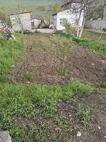 Долгосрочная аренда домов: 32 м², 2 комнаты — 15