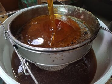 чипсы принглс цена бишкек: Продаю чистый горный мед, оптом и в розницу