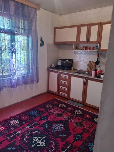 Həyət evləri və villaların satışı: Həyətyanı ev satılır - Daş hasarla əhatəli həyət, dekorativ üzüm — 5