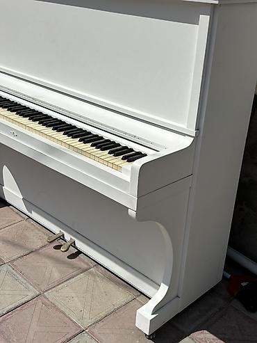 ağ piano: Ağ rəngli akustik upright pianino - Klassik vertikal korpus, sadə və — 1
