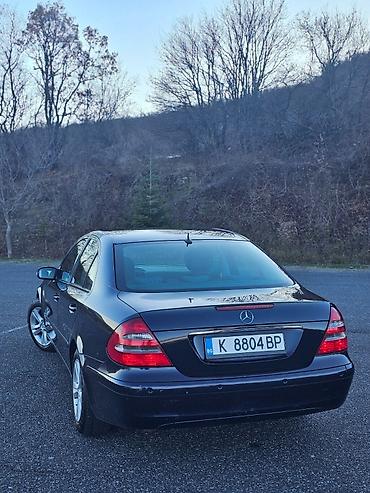 Mercedes-Benz: Mehmed — 4