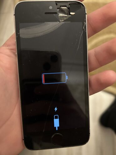ayfon üçün displey: IPhone 5s
