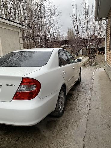Toyota: Toyota Camry: 2003 г., 2.4 л, Автомат, Бензин, Седан — 3