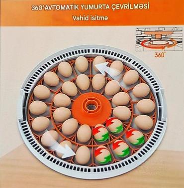 norma lupper: Tam avtomatik inkubator 30 yumurta. Satış evdən məhdut miqdarda. Əlaq' — 4