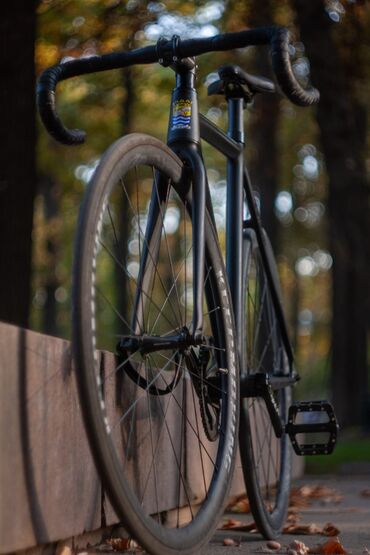 фикс балыкчы: Colossi lowpro Размер