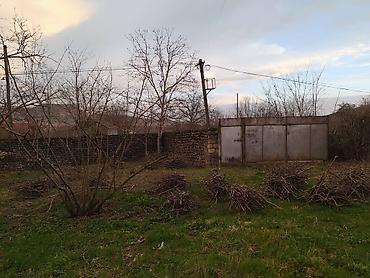 ev: Zaqatala, 70 kv. m, 3 otaqlı, Hovuzsuz, Kanalizasiya, Telefon, İşıq — 4