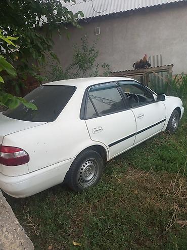 Транспорт: Toyota Corolla: 2000 г., Автомат, Седан — 4