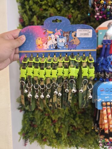 Xaltalar, qayışlar və tasmalar: Pişik və mini itlər üçün boyunbağılar. Taksilə çatdırılma xidmətimiz — 20