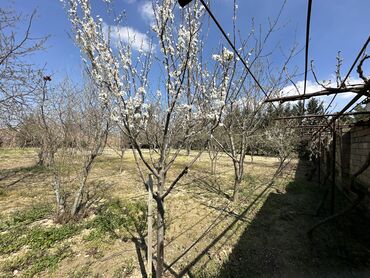 Bağ evlərinin satışı: Mehdiabad, 110 kv. m, 4 otaqlı, Hovuzsuz, Artezian quyusu, Qaz, Telefon -da lalafo.az — 10 Bağ evlərinin satışı: Mehdiabad, 110 kv. m, 4 otaqlı, Hovuzsuz, Artezian quyusu, Qaz, Telefon — 10
