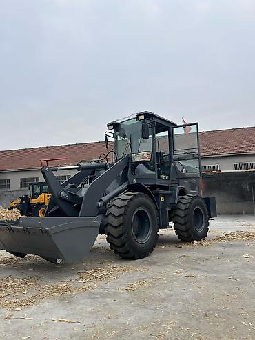 Другие тракторы: Тракторы и погрузчики для сельского хозяйства
 Под заказ из Китая — 8