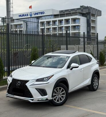 не знаю от какой машины: Lexus NX: 2019 г., 2 л, Автоматические, Бензин, Кроссовер