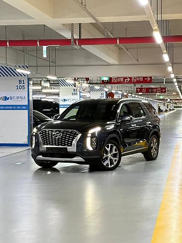 chrysler pacifica: Hyundai Palisade: 2020 г. — 4