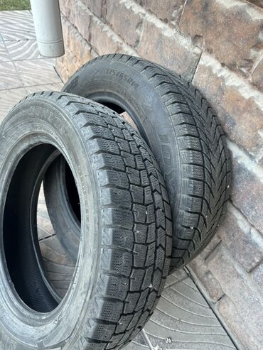 шины r16c: Шины 175 / 65 / R 14, Зима, Легковые, Dunlop