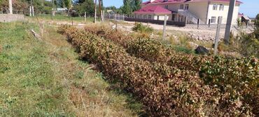 Продажа домов: Дом, 1 м², 2 комнаты, Собственник — 9