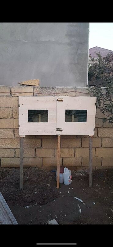Xaltalar, qayışlar və tasmalar: Bu taxta göyərçin yuvası iki hissədən ibarətdir və hər bir bölmədə