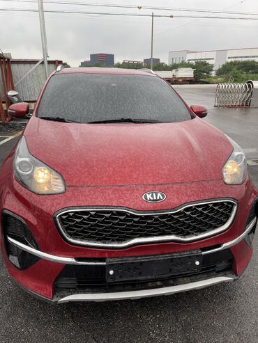 Kia: Kia Sportage: 2019 г., 2 л, Автомат, Дизель, Кроссовер