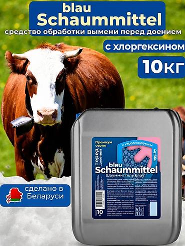 димексид цена: Средство для обработки вымени перед доением blau Schaummittel с — 1