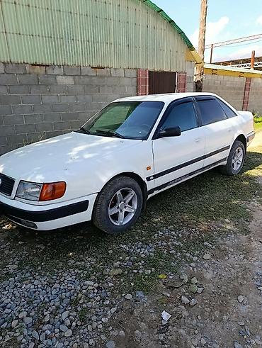 Audi: Audi 100: 1993 г., Седан — 10