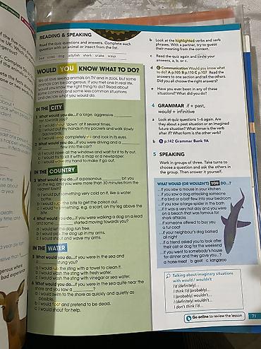 english file elementary pre intermediate: English File - pre intermediate. Оригинал, не копия, с диском, как — 3
