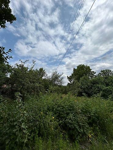 Bağ evlərinin kirayəsi: 70 kv. m, 3 otaqlı, Hovuzsuz, Artezian quyusu, Kanalizasiya, Kombi — 3