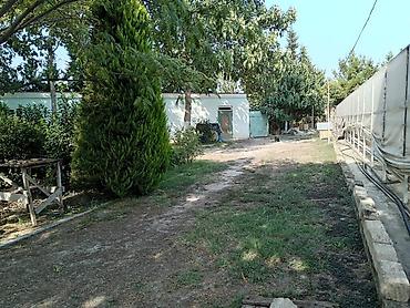 rq emlak: Satılır: geniş həyətyanı sahəsi olan fərdi yaşayış evi Şabran r-da 20 — 6