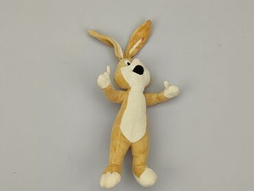 Mascots: Mascot Rabbit, condition - Good