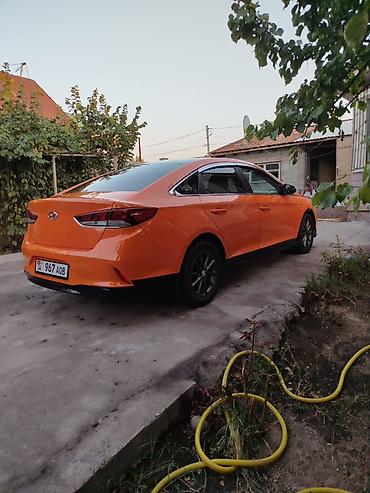 шинен москвич: Hyundai Sonata: 2019 г., 2 л, Автомат, Газ, Седан — 3