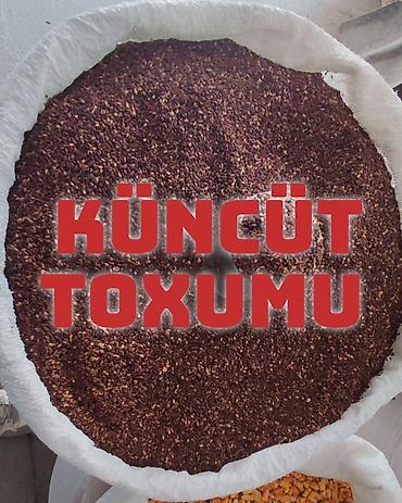ucuz kilim: TƏBİİ QARA KÜNCÜT SATILIR – YÜKSƏK KEYFİYYƏT Satışda 100% təbii və — 1