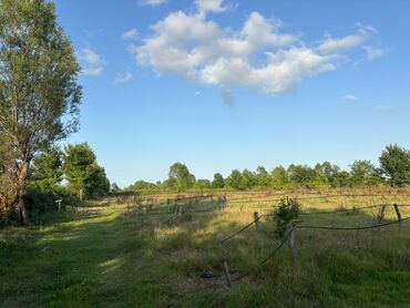 Torpaq sahələrinin satışı: 80 sot, Kənd təsərrüfatı, Mülkiyyətçi, Kupça (Çıxarış), Müqavilə — 2