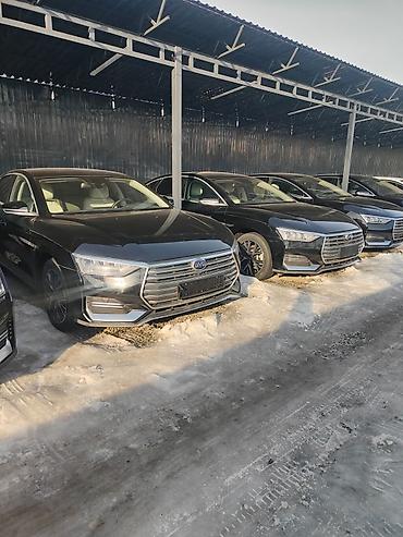 BYD: BYD Qin: 2021 г., Гибрид, Седан at lalafo.kg — 5 BYD: BYD Qin: 2021 г., Гибрид, Седан — 5