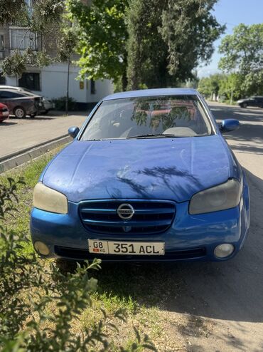 пикап ниссан навара: Nissan Maxima: 2002 г., 2.5 л, Автомат, Бензин