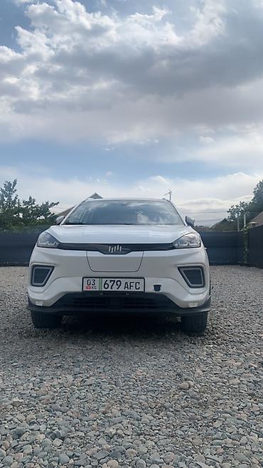 Другие аксессуары внешнего декора: Линейка кроссоверов (на фото — несколько экземпляров одного семейства) — 15