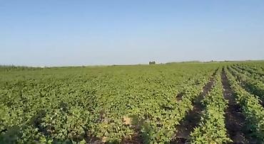 Kommersiya daşınmaz əmlakının satışı: 150 HEKTAR ƏRAZİ satılır İMİŞLİDƏ 110 HEKTAR Mülkiyyət Əkin — 3