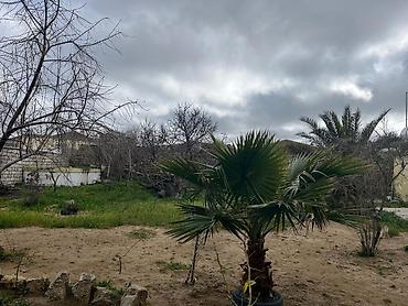 varovskide torpaq satilir: 4 sot, Tikinti, Mülkiyyətçi, Kupça (Çıxarış) — 1