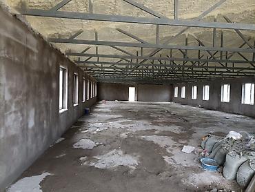 Штукатурка, шпаклевка: Штукатурка стен 3-5 лет опыта — 9