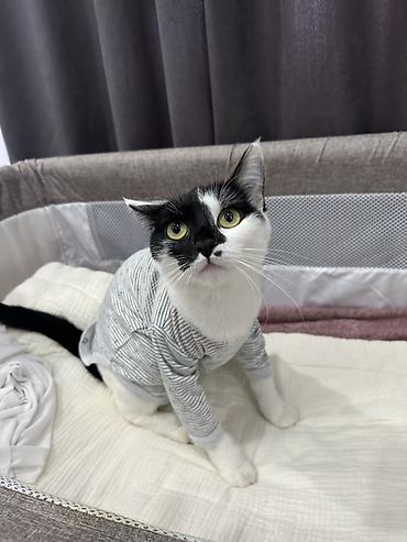 каричневый кофта рубашка: Домашняя одежда, Свитшот, Трикотаж, Зима — 1