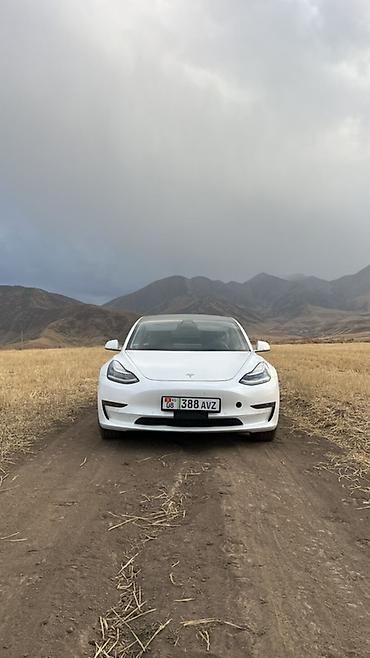 тесла модел 3: Tesla Model 3: 2020 г., Автомат, Электромобиль, Седан — 1