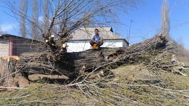 услуги по дому: Бак аралайбыз чон, жыгылганга оруну жок,опастный, кооптуу бактарды