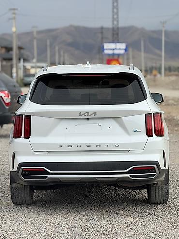 защита капота: Kia Sorento: 2022 г., 1.6 л, Автомат, Гибрид, Кроссовер — 7