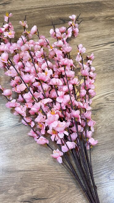 Digər ev dekoru: 10 man baslayan qiymetlerr — 4