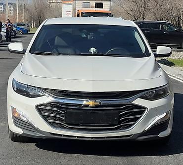 мечит: Chevrolet Malibu: 2019 г., 1.5 л, Автомат, Бензин, Седан — 1