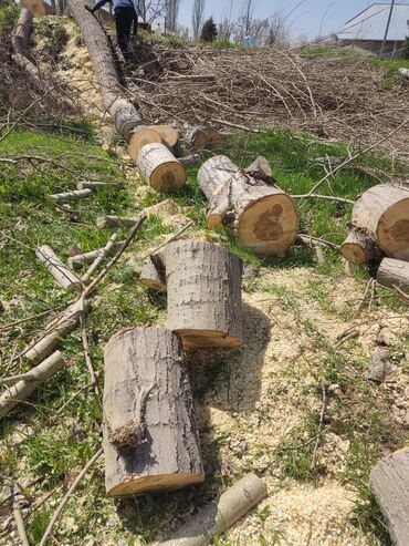 продаю дрова в мешках: Дрова Тополь, Платная доставка