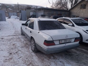 Mercedes-Benz: Mercedes-Benz 220: 1989 г., 2 л, Механика, Газ, Седан