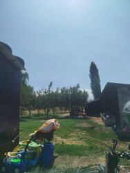 Другие специальности: Клининговая компания. Со своими оборудованием — 11