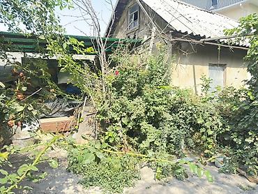 фирсова: Дом с участком и хозяйственными постройками. 🏡 Продаётся пол дома с — 3
