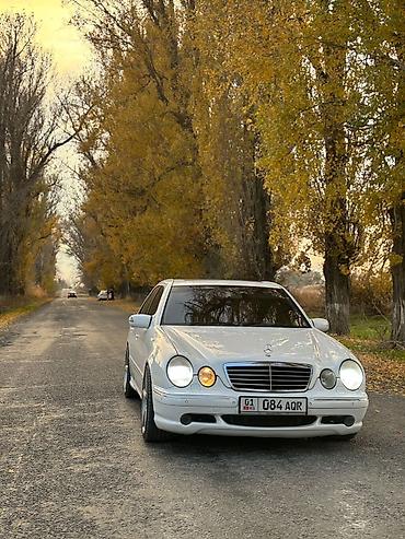 рампы: Mercedes-Benz E-Class: 2001 г., 5.5 л, Автомат, Бензин, Седан — 9