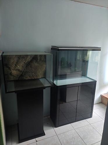 aqvarium: Akvarium-şkaf, Balıqlarla birlikdə, 1000000 l, Rayonlara çatdırılma, Ünvandan götürmə, Pulsuz çatdırılma — 9